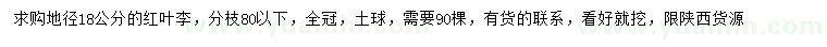 求購 地徑18公分紅葉李