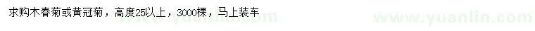求購(gòu)木春菊或黃冠菊