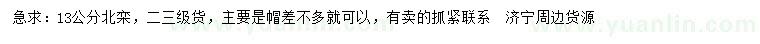 求購(gòu)13公分北欒