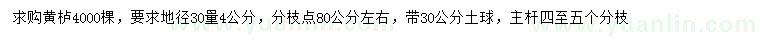 求購地徑30量4公分黃櫨