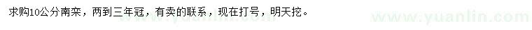 求購10公分南欒