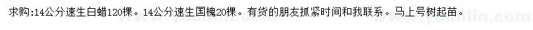 求購(gòu)14公分速生白蠟、速生國(guó)槐