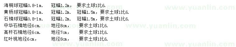求購海桐球、黃楊球、石楠球等
