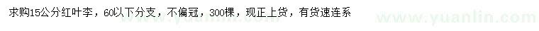 求購15公分紅葉李