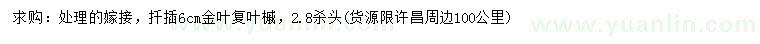 求購6公分金葉復葉槭