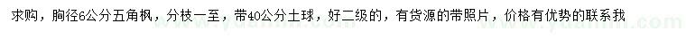 求購胸徑6公分五角楓