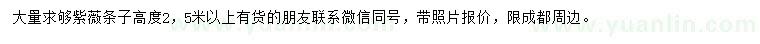 求購(gòu)高2.5米紫薇條子