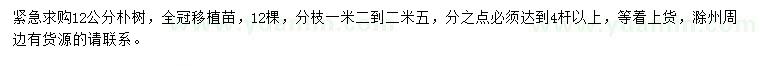 求購12公分樸樹