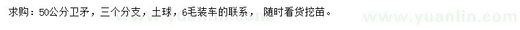 求購50公分衛(wèi)矛