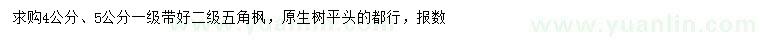 求購4、5公分五角楓