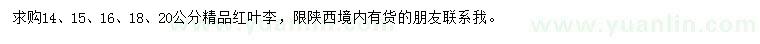 求購14、15、16、18、20公分紅葉李