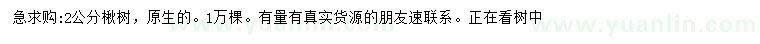 求購2公分楸樹