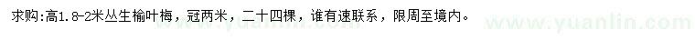 求購高1.8-2米叢生榆葉梅