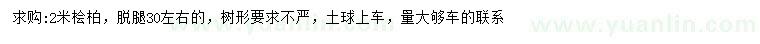 求購2米檜柏