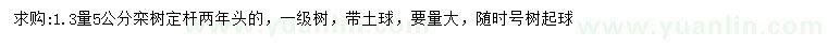 求購1.3量5公分欒樹