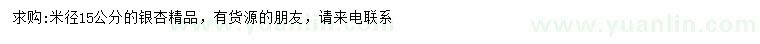 求購米徑15公分銀杏