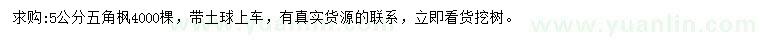 求購5公分五角楓