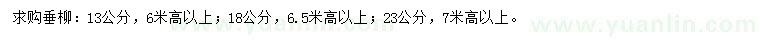 求購13、18、23公分垂柳
