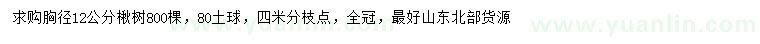 求購(gòu)胸徑12公分楸樹(shù)