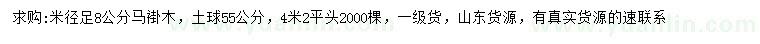 求購米徑足8公分馬褂木