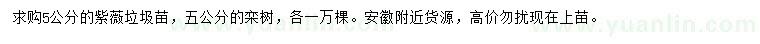 求購5公分紫薇、欒樹