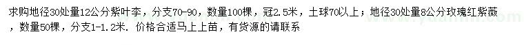 求購地徑30處量12公分紫葉李、地徑30處量8公分玫瑰紅紫薇