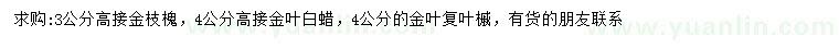 求購(gòu)金枝槐、金葉白蠟、金葉復(fù)葉槭