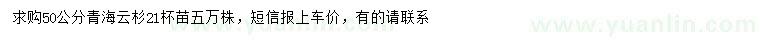 求購50公分青海云杉