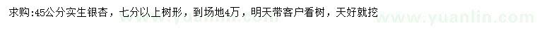 求購45公分實生銀杏