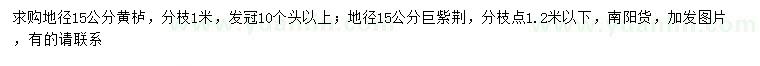 求購地徑15公分黃櫨、巨紫荊