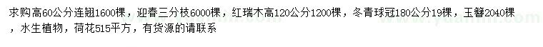 求購連翹、迎春、紅瑞木等