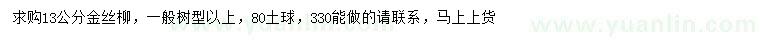 求購13公分金絲柳