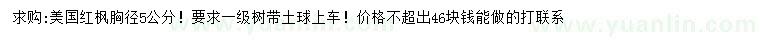 求購胸徑5公分美國紅楓