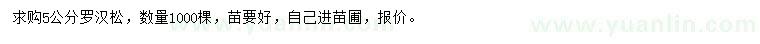 求購(gòu)5公分羅漢松