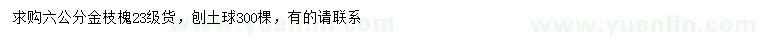 求購6公分金枝槐