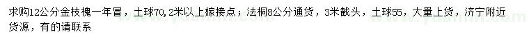 求購(gòu)12公分金枝槐