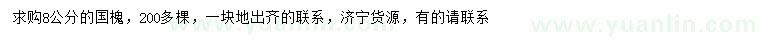 求購8公分國槐