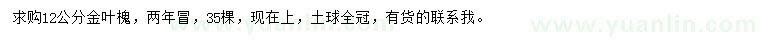 求購12公分金葉槐