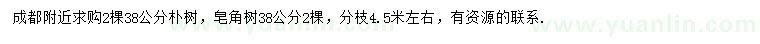 求購38公分樸樹、皂角