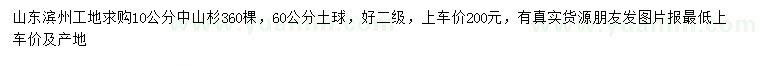 求購(gòu)10公分中山杉