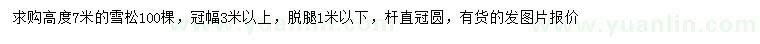 求購高7米雪松