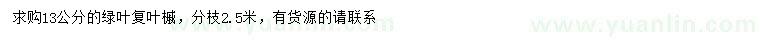 求購13公分綠葉復葉槭