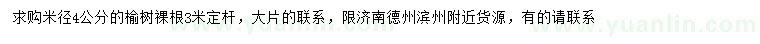 求購米徑4公分榆樹