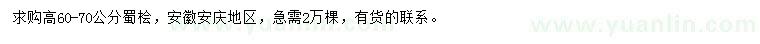 求購高60-70公分蜀檜