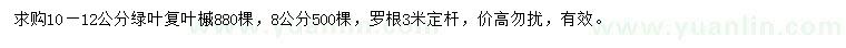 求購(gòu)8、10-12公分綠葉復(fù)葉槭