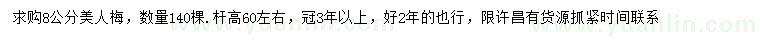 求購(gòu)8公分美人梅