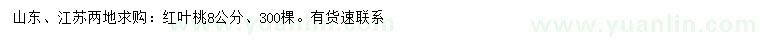 求購8公分紅葉桃