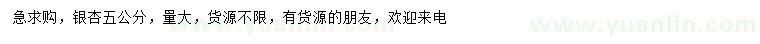 求購5公分銀杏