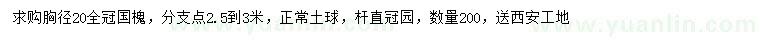 求購胸徑20公分國槐