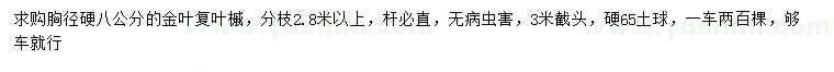 求購(gòu)胸徑硬8公分金葉復(fù)葉槭